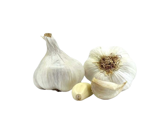 AJO_BLANCO